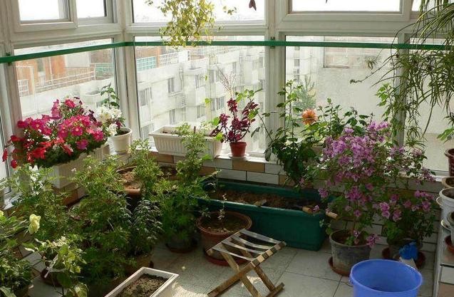 1574909168348181.jpg 4.jpg